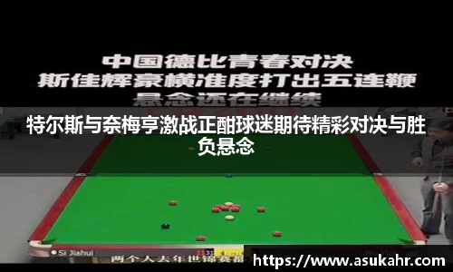特尔斯与奈梅亨激战正酣球迷期待精彩对决与胜负悬念